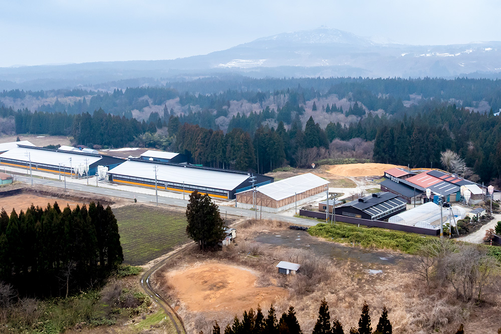 和牛なまはげ ミスジステーキ 100g 大進農場