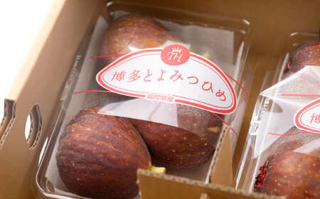 福岡県産 無花果 とよみつひめ 300g×4パック 合計1.2kg いちじく いちぢく フルーツ 果物 国産【2025年8月上旬～10月下旬発送予定】