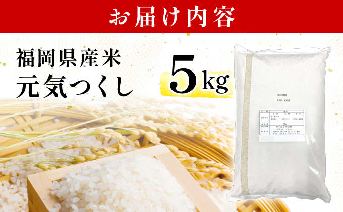 令和６年産 福岡県産米 元気つくし 5kg 精米 CY011