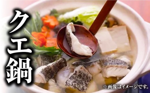 【 対馬産 】最高級 クエ 鍋 セット （ 4〜5人前 ） 《対馬市》【石川水産】 水炊き  鮮度抜群 海鮮 [WAB008]天然くえ 高級魚 アラ 魚 新鮮 下処理 クエ 希少 人気 唐揚げ 鍋 海