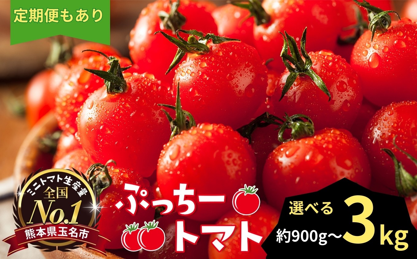 
            【選べる容量・回数】ぷっちートマト ミニトマト 900g ～ 3kg 発送回数 1回 2回 3回 | 野菜 やさい ミニトマト ミニ とまと トマト 900g 1.8kg 3kg リコピン 熊本県 玉名市
          