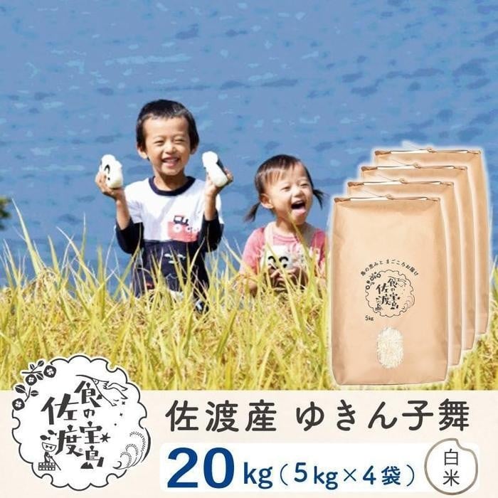 
            佐渡島産 ゆきん子舞 白米20kg(5kg×4袋)  令和7年産 ～農薬5割減～
          