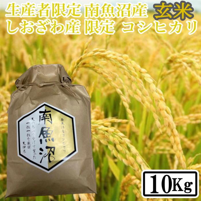 【ふるさと納税】【令和7年産】【10kg】玄米 しおざわ産限定 生産者限定 南魚沼産コシヒカリ | お米 こめ 食品 コシヒカリ 人気 おすすめ 送料無料 魚沼 南魚沼 南魚沼市 新潟県 玄米 産直 産地直送 お取り寄せ