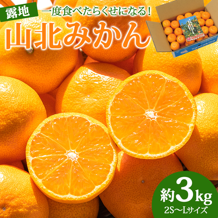 【 高知県産 】 みかん 約3kg 【令和8年10月下旬発送開始】 山北ミカン（露地栽培 2S～Lサイズ）一度食べたらくせになる！みかん ミカン 蜜柑 常温みかん ブランドみかん 果物 フルーツ 産地直送 高知県産 JA高知 常温 ku-0042