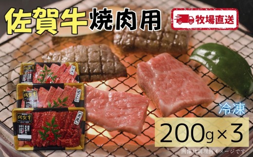 佐賀牛焼肉用600g（200g×3）［A0102-0009］
