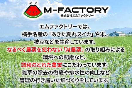 【白米】令和7年産 あきたこまち 5kg（5kg×1袋） 横手市産