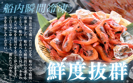 【発泡箱入り】絶品甘えびを三国港からお届け！海の上で食べる甘海老の味！「共栄丸」直送☆船内瞬間冷凍 甘えび 約1.1kg 【海老 えび エビ アマエビ あまえび 甘海老 赤エビ アカエビ あかえび ホ