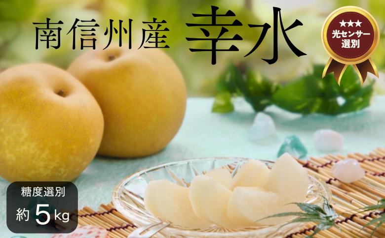 
            JA05-25A 梨 幸水 約5kg／2025年8月中旬〜9月上旬ごろ配送 // 糖度センサー選別 厳選 南信州 長野県 和梨 なし ナシ  新鮮 厳選 贈答
          