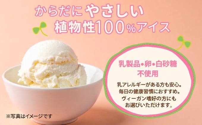 SOY(豆乳)アイス 6個セット (プレーン・抹茶・沖縄産秋ウコン) 3種類 各2個 | 沖縄 宜野湾市 送料無料