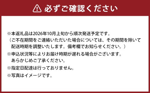 令和8年産 湯前産 くまさんの輝き 5kg お米 米 白米 白飯 ご飯 おにぎり 和食 国産 熊本県産 【 2026年10月上旬～2027年10月下旬迄発送予定 】