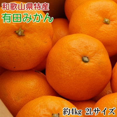 [秀品]和歌山有田みかん約4kg(2Lサイズ)「2025年11月中旬より順次発送」(九度山町)【1297139】