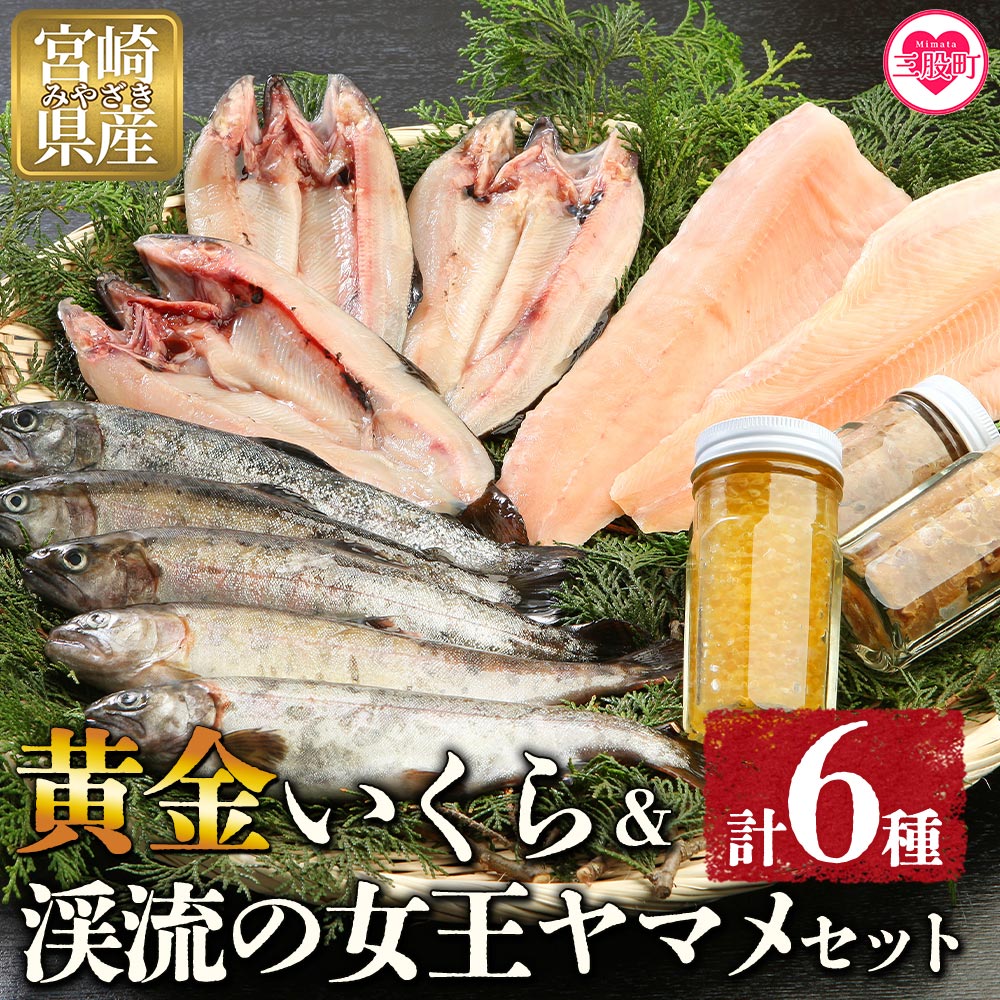 【ふるさと納税】【先行予約】＜黄金イクラと渓流の女王ヤマメ逸品セット＞ 6種 国産 九州産 宮崎 いくら 魚卵 やまめ 一夜干し やまめ漬け フィレ うるか おかず 水産物 詰め合わせ ギフト のし テレビ 紹介 夏ギフト お中元 手土産【B-0204-sk】【有限会社しゃくなげの森】