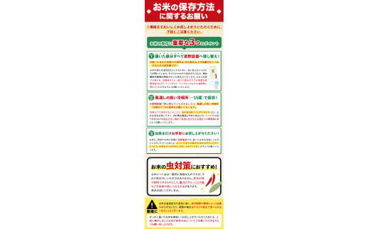 令和5年産 ひのひかり 白米 10kg 《7-14営業日以内に出荷予定(土日祝除く)》 5kg×2袋 熊本県産 米 精米 ひの 御船町---mf_hn5_wx_24_14500_10kg_h---