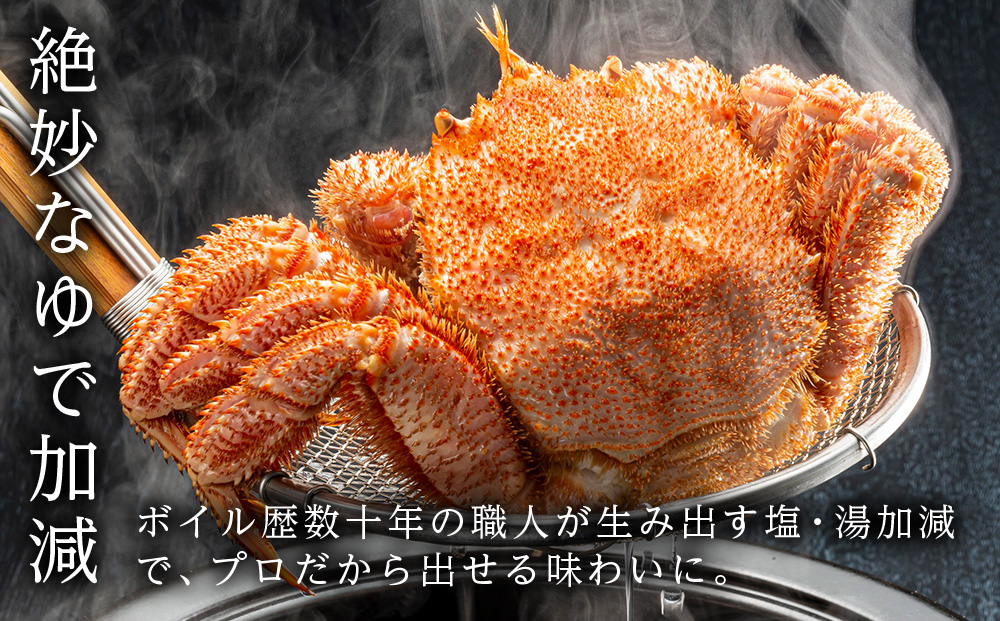 北海道産 冷凍ボイル訳あり毛ガニ 1kg詰め（2～3尾入り）