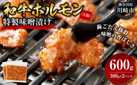 ＜訳アリ＞和牛ホルモン（大腸）　特製味噌漬け　0.6kg(300g×2）【2026年8月発送】