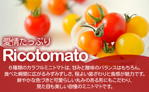 たにぐちファーム カラフルミニトマト 約1kg 『Ricotomato とりこになるトマト』 B-280