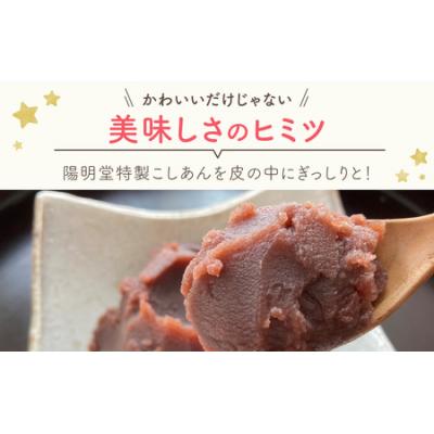 ふるさと納税 大野市 越前大野の「うさ星のおまんじゅう」 |  | 01