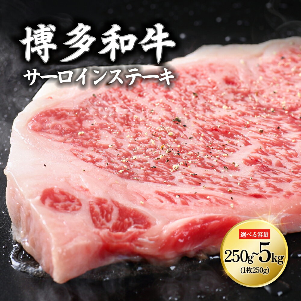 【ふるさと納税】博多和牛 サーロインステーキ ＜選べる容量＞ 250g～5kg /計250g(250g×1枚)/計500g(250g×2枚) /計1kg(250g×4枚)/【訳あり】計5kg(250g2枚入り×10P) ステーキ サーロイン 焼肉 バーベキュー 焼くだけ 牛肉 肉 和牛 国産牛 福岡県 赤村 Y10-S