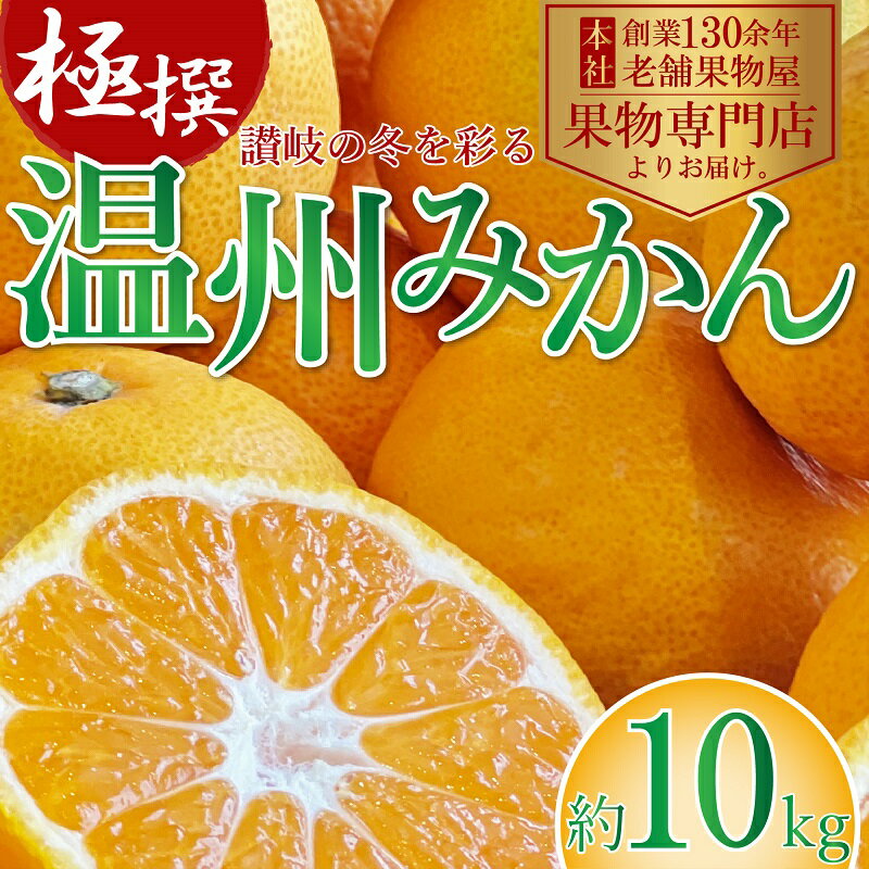 【ふるさと納税】【2026年11月上旬より順次発送】極撰！温州みかん　約10kg 果物 柑橘 フルーツ 程よい酸味 ジューシー 甘い 国産 日本産 冬の味覚 冬の果物 冬のフルーツ 　お届け：2026年11月上旬～2027年1月中旬