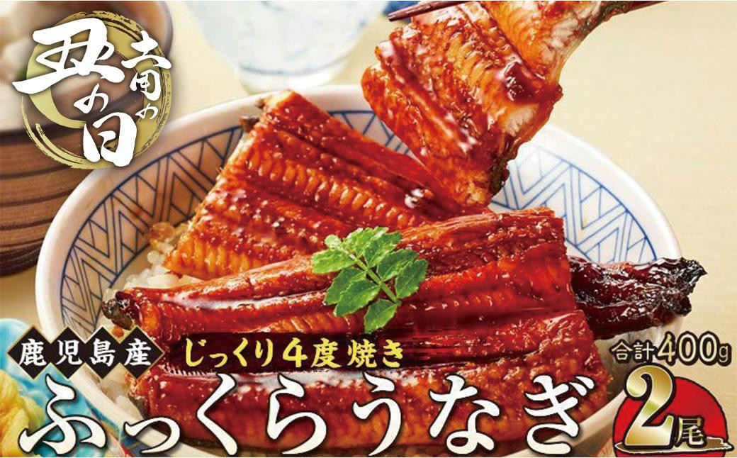
            【土用丑の日】うなぎ 蒲焼 200g×2尾【鹿児島産】地下水で育てた絶品鰻
          