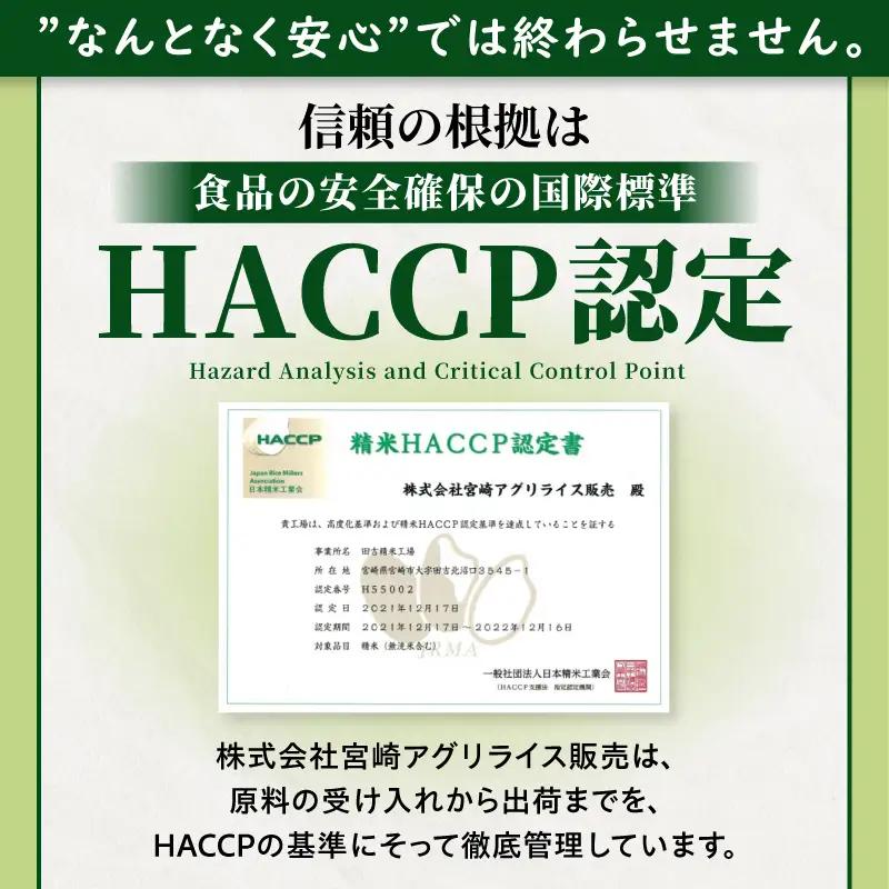 国産ブレンド米 「米一膳」10kg 米