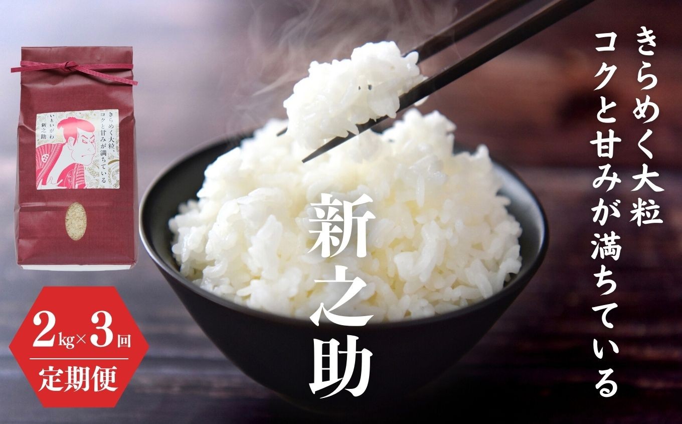
                  令和8年産 新米【定期便】新之助 2kg×3ヶ月 計6kg 米・食味鑑定士お墨付き 家族みんなで愛情かけて育てた米 新潟県糸魚川産 2026年 しんのすけ 白米 百姓や伝六【米 お米 こめ ご飯 ライス ふるさと納税米 食品 人気 おすすめ お弁当 おにぎり ギフト 新潟県の新しいブランド米 農家直送 2キロ 精米 3回 3か月】
                