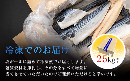 【訳あり】木更津魚市場直送！不揃い塩サバフィーレ 2.5㎏以上 / 塩サバ 塩さば 塩鯖 サバ さば 鯖 塩サバフィレ 塩サバ 塩さば 塩鯖 サバ さば 鯖 塩サバ 塩さば 塩鯖 サバ さば 鯖 塩サ