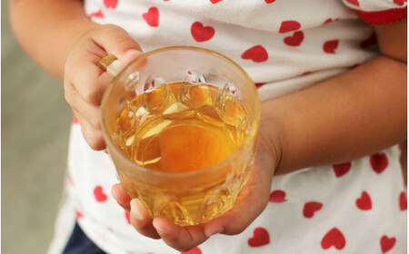 梅ハニーと梅干のセット【梅ハニー590g・うすじお味梅・はちみつ梅・かつお梅（各135g）】 / 紀州南高梅 梅果汁 炭酸割り うす塩 詰め合わせ 贈答品 和歌山 田辺市 【umk011】