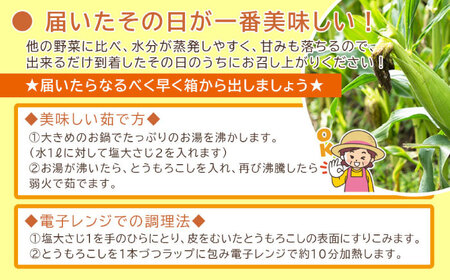 こだわり農家の喜茂別産スイートコーン 10本 [AJAJ003] とうもろこし 夏