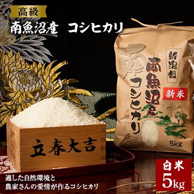 ふるさと納税 南魚沼市 【令和7年産 新米予約】【高級】南魚沼産こしひかり5kg(白米)