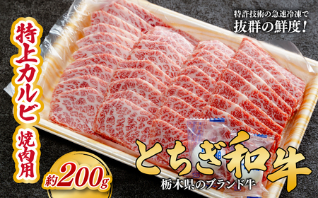 とちぎ和牛の特上カルビ 焼肉用 200g【栃木県共通返礼品】 | 和牛 カルビ 栃木県 茂木町