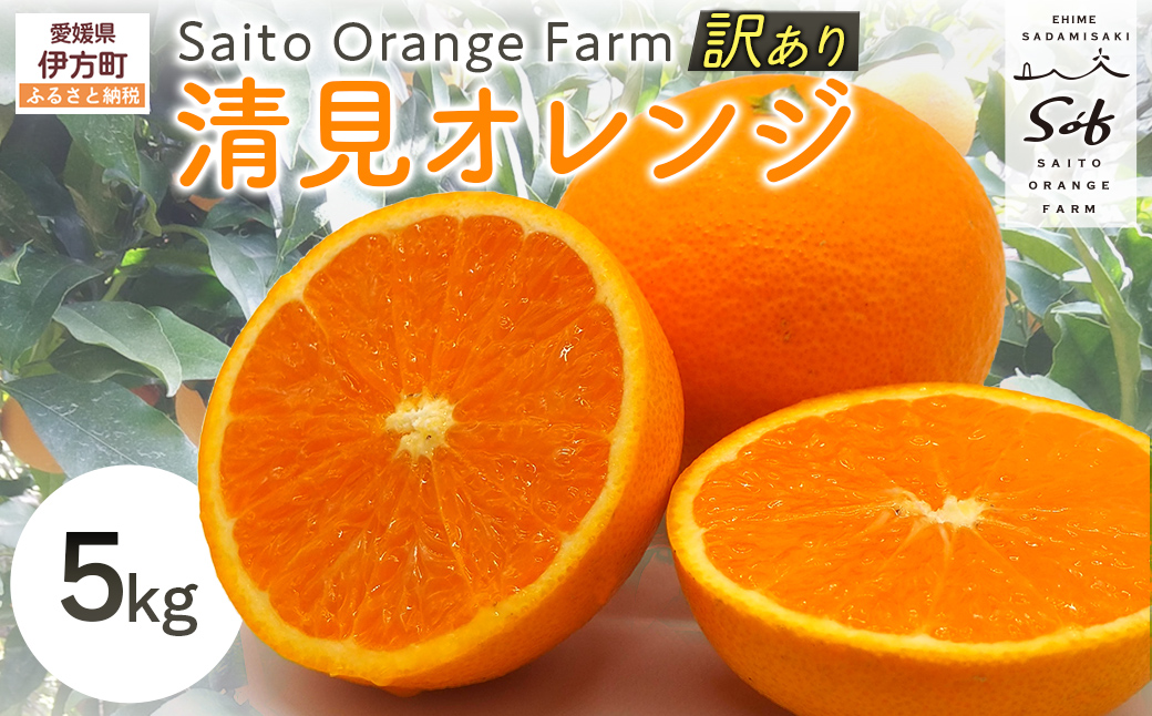 【先行予約】Saito Orange Farmの訳あり清見オレンジ5kg（2027年3月中旬頃より順次発送） IKTAQ009