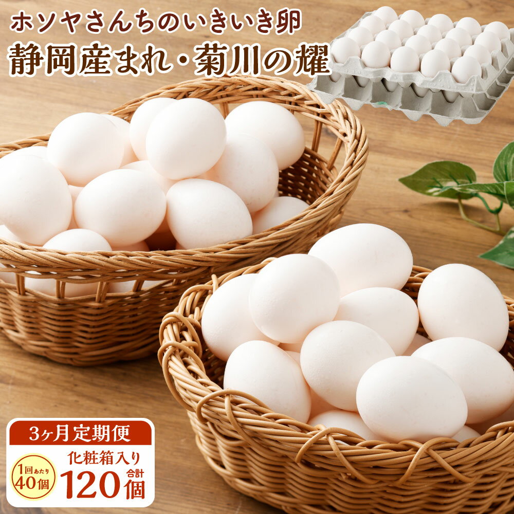【ふるさと納税】【3ヶ月定期便】「ホソヤさんちのいきいき卵」40個セット 静岡産まれ・菊川の耀たまご 計120個 卵 たまご タマゴ 玉子 生卵 鶏卵 新鮮 採れたて 産みたて 臭み軽減 お取り寄せ 静岡県 菊川市 送料無料