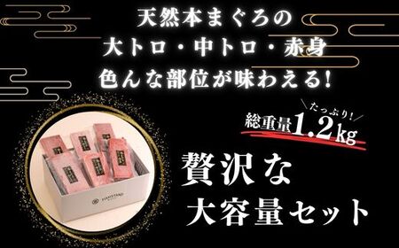 【みんなの心彩る】 天然 本まぐろ 1.2kg（ 大トロ 400g、 中トロ 赤身 400g） M020-025-02 冷凍 マグロ 【 まぐろ専門の卸問屋です 】