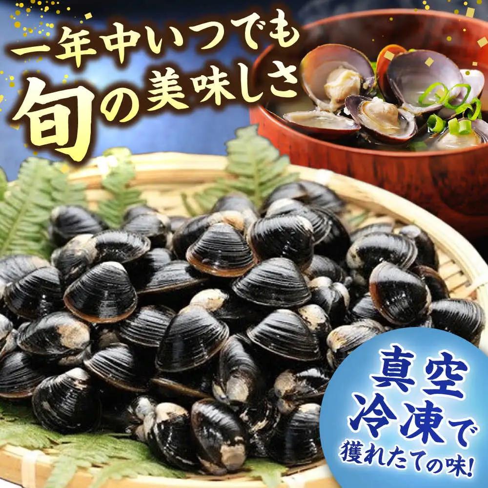 しじみ 【全3回定期便】生産量日本一！宍道湖産 ヤマトシジミLサイズ（真空冷凍） 80g×15袋 島根県松江市/有限会社日本シジミ研究所[ALBS006] しじみ しじみ