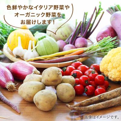 ふるさと納税 糸島市 【全3回定期便】糸島 野菜 セット 10〜14種 (14パック) /vegeLabo[AJB004] |  | 01