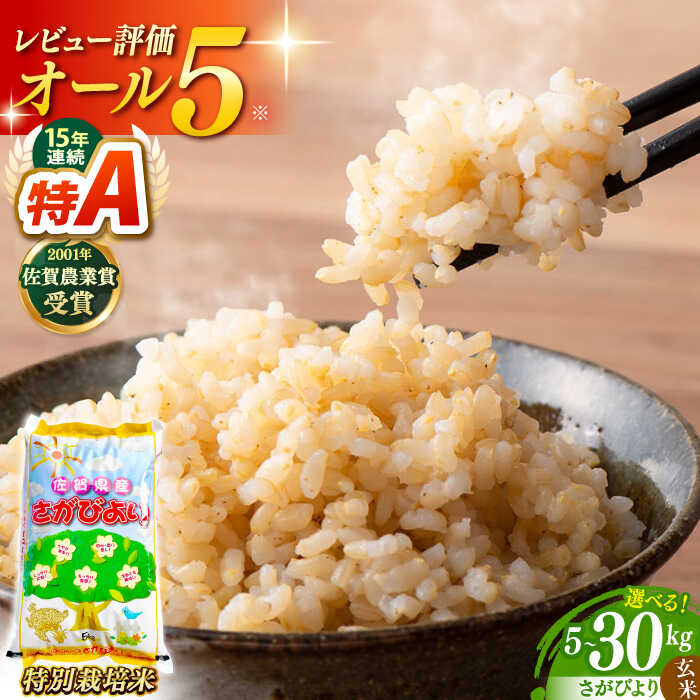 【ふるさと納税】【選べる容量】令和7年産 特別栽培米 さがびより 玄米 （ 5kg / 10kg / 30kg ) 【ももさき農産】 [HCG004] / 食品 米 玄米 一等米 一等 特栽 特別栽培 佐賀県産 佐賀県 送料無料