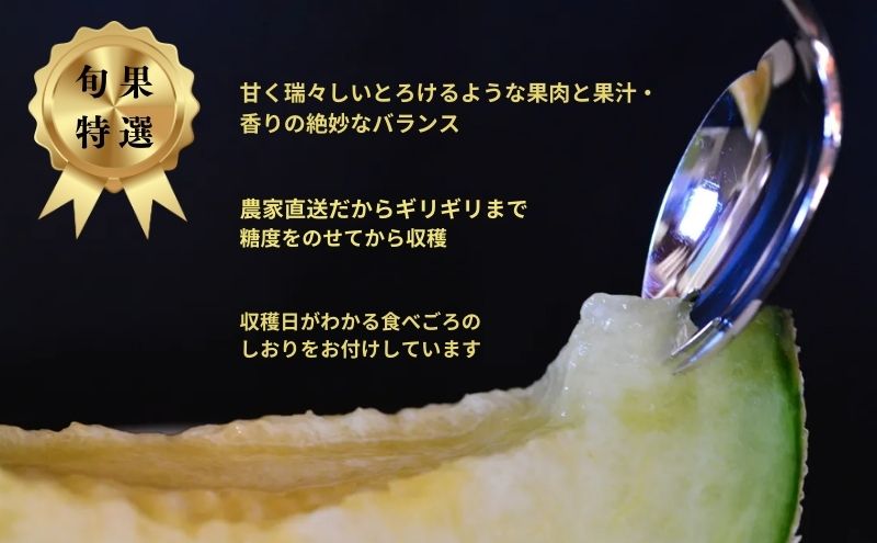 【先行予約】マスクメロン＆メロンパンセット メロン 人気