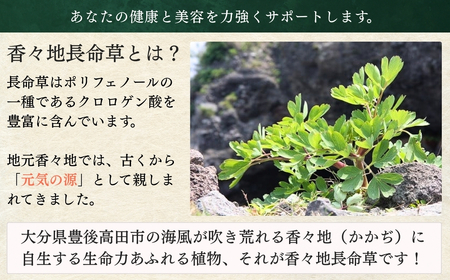 香々地長命草パウダー（3g×10包入）|　青汁　香々地ベジファーム　豊後高田市