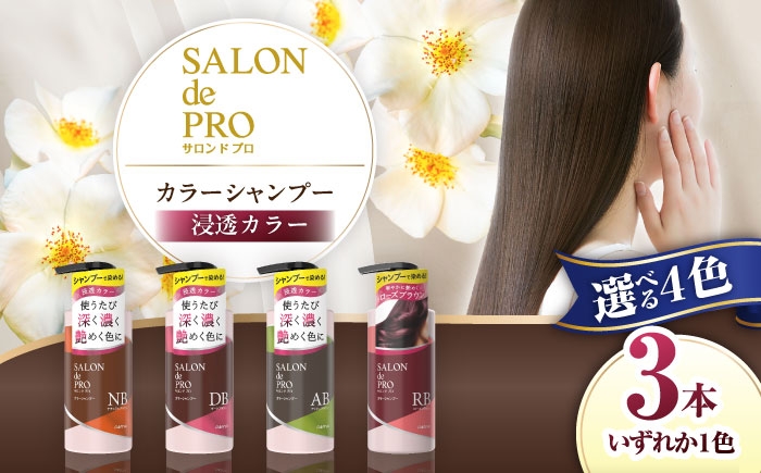 
                  【選べるカラー】 ダリヤ サロンドプロ カラーシャンプー 3個セット＜ナチュラルブラウン/ダークブラウン/アッシュブラウン/ローズブラウン＞ / 稲沢市 / 日興商事株式会社 [BMBK004]
                