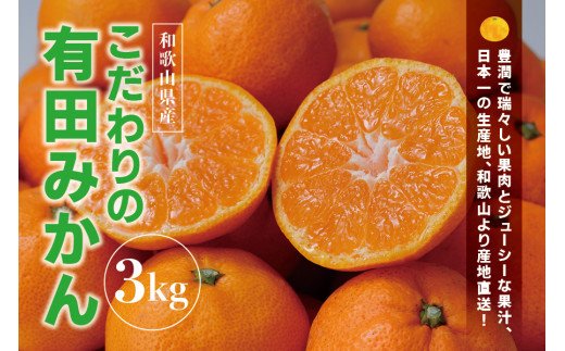 
＼有機質肥料100%／ 【家庭用】こだわりの有田みかん 約3kg【2024年11月中旬より順次発送】※北海道・沖縄・離島への配送不可
