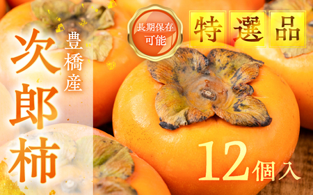 次郎柿 12個入 L~2L 贈答用 豊橋石巻 柿