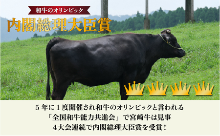 ＜冷蔵・真空包装＞希少部位！A4等級以上！宮崎牛ヒレステーキ1枚（約120g）_K008-005