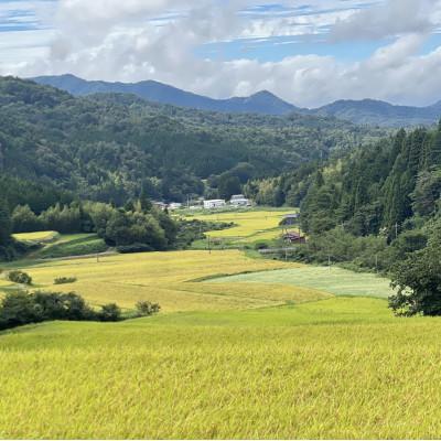 ふるさと納税 松江市 【毎月定期便】プレミアム仁多米(なおらい米)真空パック　2kg×3袋(松江市)全3回 |  | 03