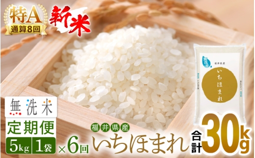 【新米】令和8年産 無洗米 定期便 6回 いちほまれ 5kg × 6回（計30kg）福井県産 特A通算8回！【お米 コメ kome 6ヶ月連続 計30キロ 精米 白米 便利 時短】 [e27-f013]