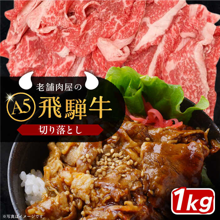【ふるさと納税】飛騨牛 切り落とし肉 A5ランク 500g×2パック (1kg) / 飛騨牛 切り落とし肉 和牛 国産 霜降り すき焼き 肉 牛肉 ブランド和牛 肉 牛肉 冷凍 焼き肉 バーベキュー BBQ お取り寄せ 贈答 ギフト 人気 おすすめ 岐阜県 / 恵那市 / 岩島屋 [AUAJ015]