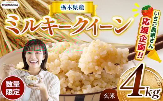 訳あり【令和7年度産】【栃木県共通返礼品】【数量限定】 栃木県産ミルキークイーン 4kg | ミルキークイーン  数量限定 玄米 米 ごはん  玄米密閉パック ふるさと納税 那珂川町 栃木県