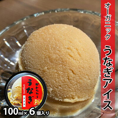【ふるさと納税】お菓子 鰻のかんたろうのオーガニックうなぎアイス 100ml×6個入り 無添加 ベジアイス ダイエット カロリーオフ 卵牛乳白砂糖不使用 有機豆乳 山椒 静岡県浜松市 ギフト 贈り物