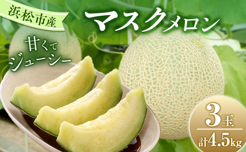 【2025年7月上旬より順次発送】静岡県浜松市産マスクメロン1.5kg×3個
