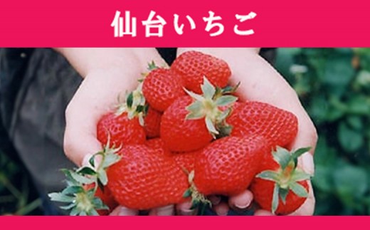 【業務用アイス】仙台いちごアイス 4000ml